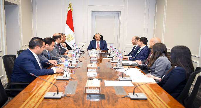 وزير الخارجية يؤكد أهمية ترسيخ الحضور المصرى الفاعل على الساحة الإفريقية