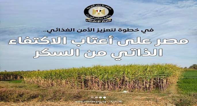 بالإنفوجراف.. الحكومة: مصر على أعتاب الاكتفاء الذاتى من السكر وبدءا من 2026 لن تكون بحاجة لاستيراده
