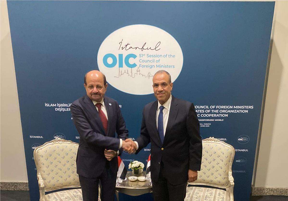 وزير الخارجية يؤكد دعم مصر الراسخ للحكومة اليمنية الشرعية