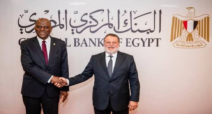 محافظ البنك المركزى يبحث مع نظيره النيجيرى سبل تعميق التعاون المشترك بين البنكين