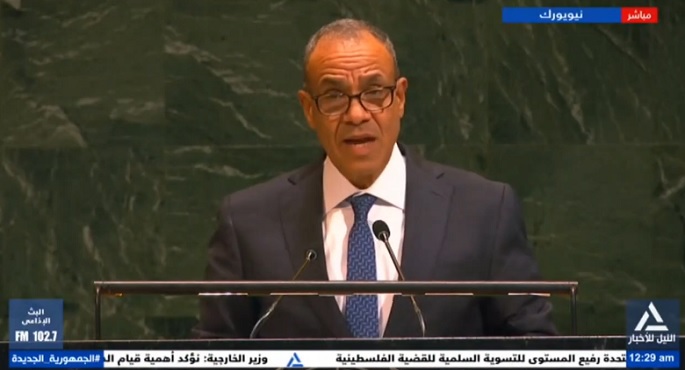 بالفيديو.. وزير الخارجية: مؤتمر “حل الدولتين” يأتى فى مرحلة مفصلية من الحرب الإسرائيلية على غزة