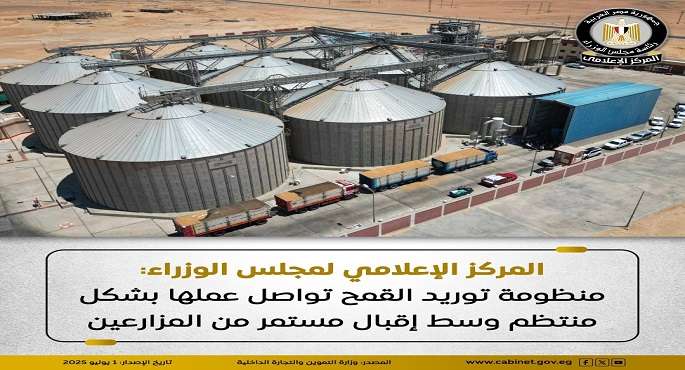 مجلس الوزراء: منظومة توريد القمح تواصل عملها بشكل منتظم وسط إقبال من المزارعين