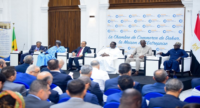 وزير الخارجية يؤكد دعم مصر الكامل لخطة التنمية الخمسية ورؤية السنغال الوطنية 2050
