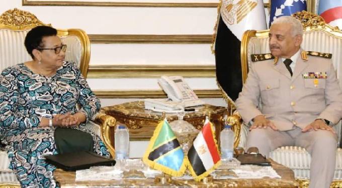 الفريق أول عبد المجيد صقر يلتقى وزير الدفاع والخدمة الوطنية التنزانية