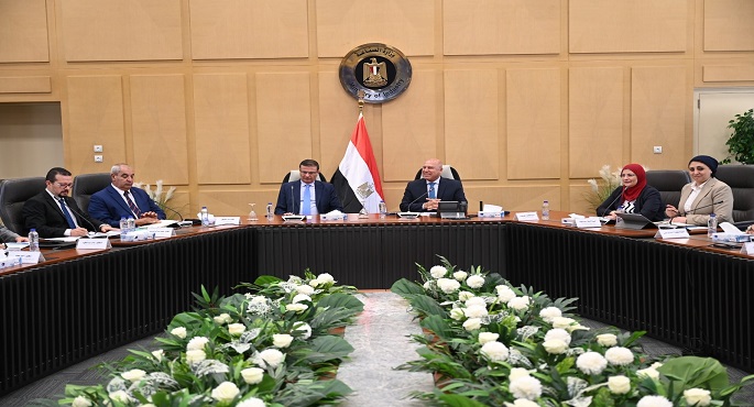 وزيرا الصناعة والزراعة يبحثان التوسع فى تصنيع الزبيب وتوطين صناعة الكتان