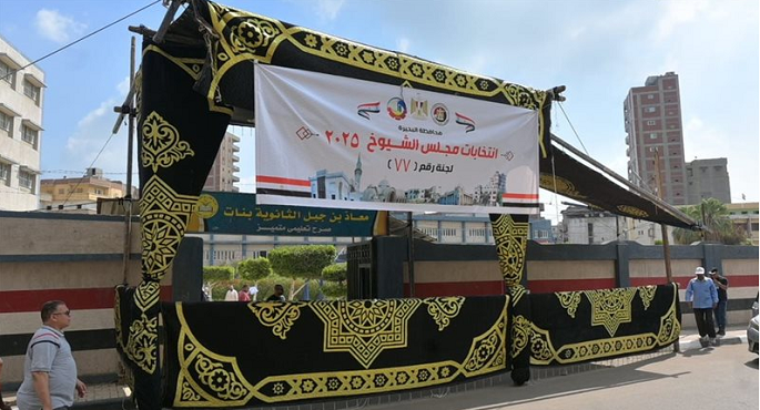 اليوم .. انطلاق تصويت المصريين فى الداخل فى انتخابات مجلس الشيوخ