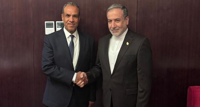وزير الخارجية يستعرض الجهود التى تبذلها مصر لوقف العدوان الاسرائيلى على الشعب الفلسطينى