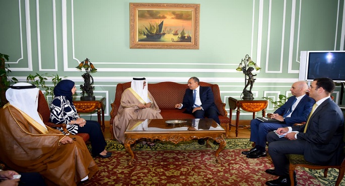 وزير الخارجية ونظيره البحرينى يؤكدان أهمية مواصلة التنسيق والتشاور العربى فى مواجهة التحديات الإقليمية