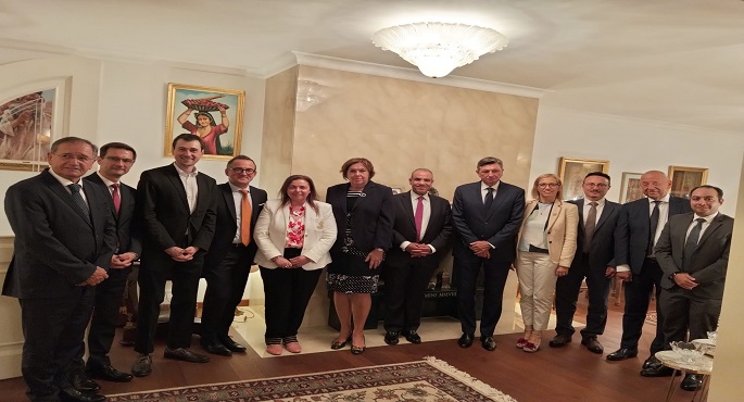وزير الخارجية يبحث مع مسئولين من سلوفينيا سبل تعزيز التعاون الثنائى