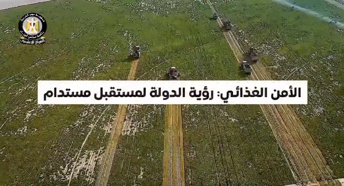 بالفيديو.. الحكومة: الدولة تبذل جهودا متواصلة لتعزيز الأمن الغذائى باعتباره أولوية قصوى