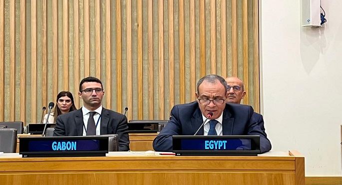 عبد العاطى يجدد خلال اجتماع وزراء خارجية منظمة التعاون الإسلامى رفض مصر وإدانتها كافة محاولات تهجير الفلسطينيين
