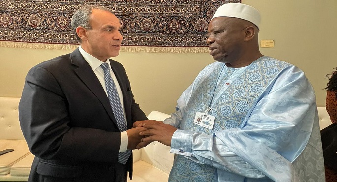 وزير الخارجية يؤكد حرص مصر على تعزيز التعاون الثنائى مع غينيا فى شتى المجالات