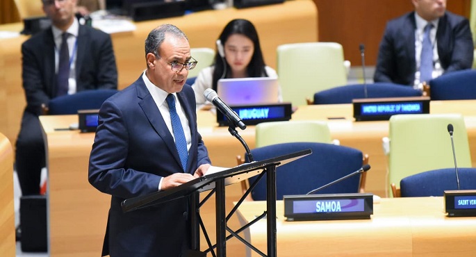 وزير الخارجية يحذر من التصريحات الإسرائيلية غير المسئولة بإمكانية استخدام السلاح النووى فى غزة
