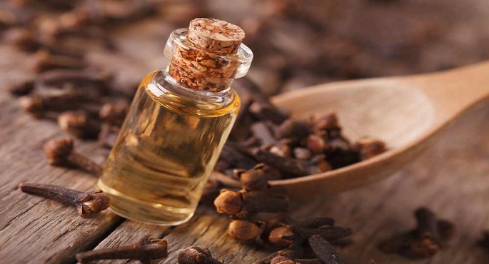 زيت القرنفل.. يعالج مشكلات مرضية منها دعم صحة القلب