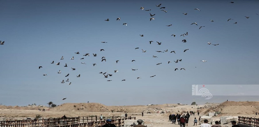 العودة إلى الديار.. والأمل ينبض من جديد