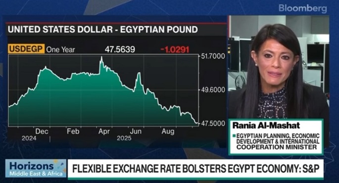 المشاط: مستمرون فى تنفيذ برنامج إصلاح هيكلى طموح لزيادة مشاركة القطاع الخاص وجذب الاستثمارات