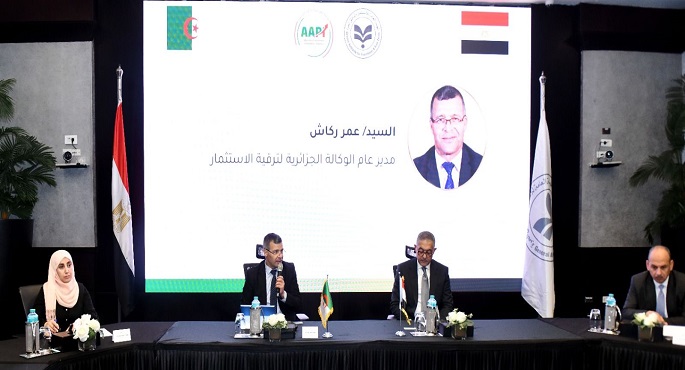 مصر والجزائر تعززان التعاون الاستثمارى باجتماع اللجنة الفنية المشتركة فى القاهرة