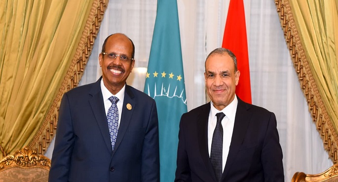 وزير الخارجية يؤكد دعم مصر الكامل لجهود الاتحاد الإفريقى لتسوية النزاعات وتحقيق التنمية الشاملة بالقارة
