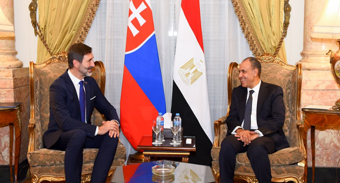 وزيرا خارجية مصر وسلوفاكيا يؤكدان ضرورة العمل المشترك للارتقاء بالتعاون الاقتصادى والتجارى