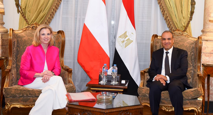 وزير الخارجية يؤكد على أهمية التنفيذ الكامل لاتفاق إنهاء الحرب فى غزة وبدء خطوات التعافى المبكر وإعادة الإعمار