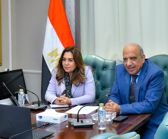 وزيرا الكهرباء والبيئة يبحثان التعاون فى استخراج الخامات الأرضية والعناصر النادرة