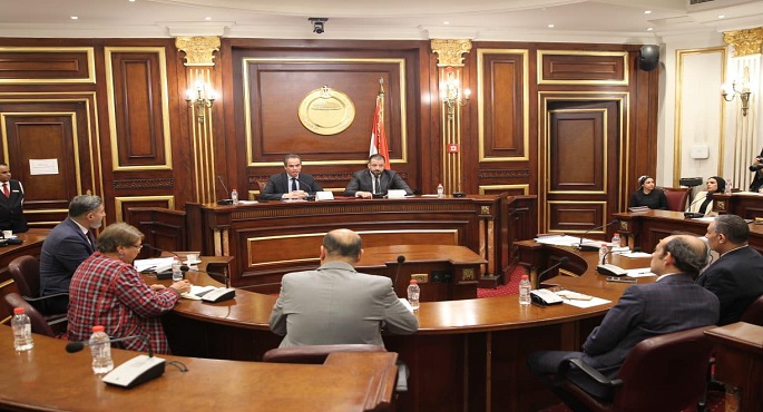 المسلمانى يعرض 33 خطوة فى مجلس الشيوخ