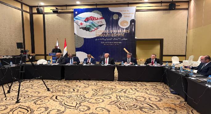 كامل الوزير يستعرض جهود مصر بالصناعة والنقل وسبل زيادة حجم التعاون مع جيبوتى