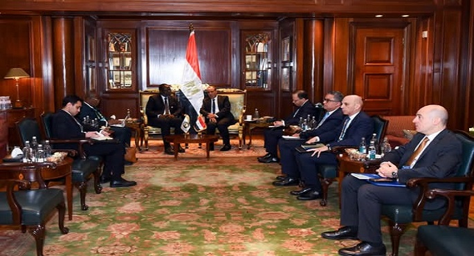 بالصور.. وزير الخارجية يلتقى رئيس مفوضية الإيكواس لبحث سبل تعزيز التعاون المشترك