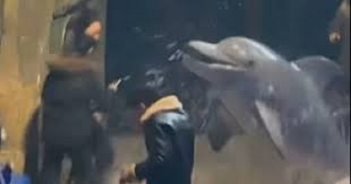 حوت أبيض يفاجئ شاب ويطفئ سيجارته برش الماء عليه