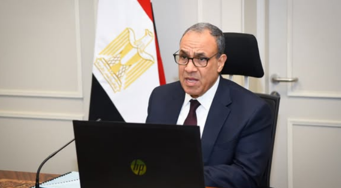 وزير الخارجية يعقد لقاء افتراضيا مع الجالية المصرية فى كمبوديا وسنغافورا وتايلاند
