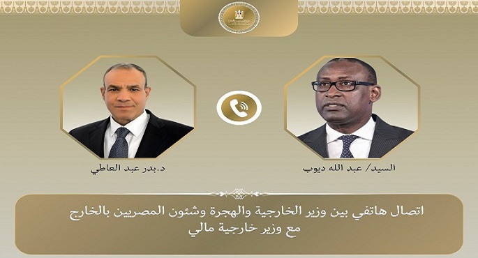 وزير الخارجية يؤكد اهتمام الشركات المصرية ذات الخبرات الكبيرة بالمشاركة فى المشروعات التنموية فى مالى