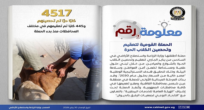 بالإنفوجراف..مجلس الوزراء: وزارة الزراعة تطلق الحملة القومية لتعقيم وتحصين الكلاب الحرة