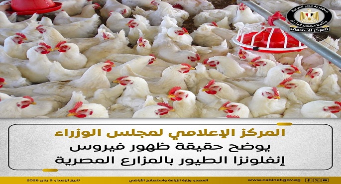 مجلس الوزراء: لم يتم رصد أى حالات إصابة بإنفلونزا الطيور فى أى من المزارع المصرية