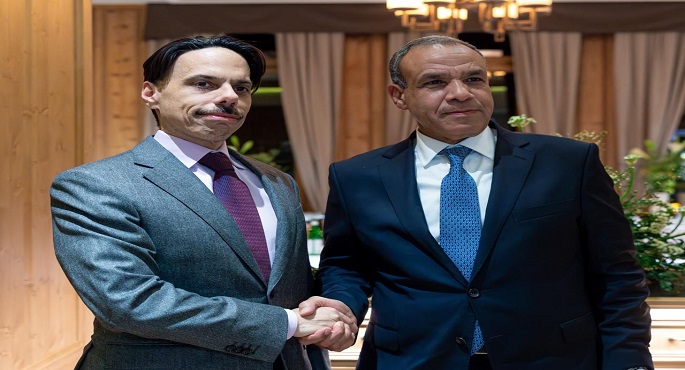 وزير الخارجية يعقد سلسلة لقاءات على هامش المنتدى الاقتصادى العالمى بدافوس