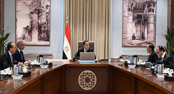 رئيس الوزراء يستعرض الموقف التنفيذى لمشروعات شركة “تنمية الريف المصرى الجديد”