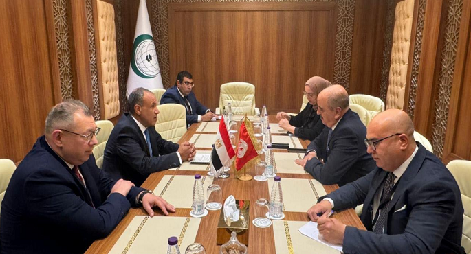 وزير الخارجية يؤكد لنظيره التونسى الحرص على الارتقاء بمستوى العلاقات بين البلدين