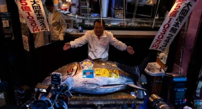 سمكة تونة تباع بـ3.2 مليون دولار في طوكيو