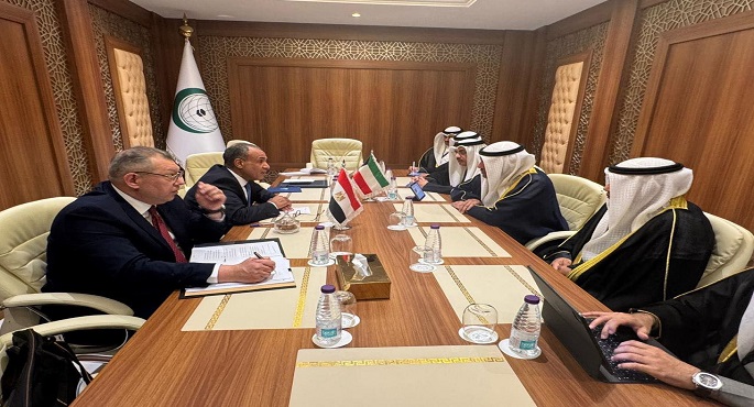 وزير الخارجية يلتقى نظيره الكويتى على هامش الدورة  الوزارية الاستثنائية لـ”منظمة التعاون الإسلامى”
