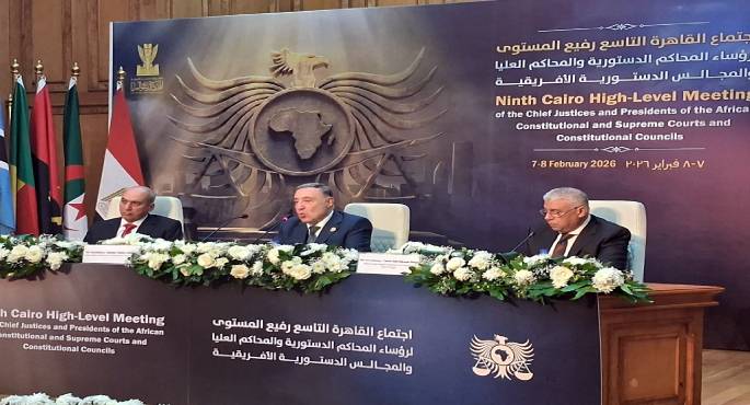 رئيس الدستورية العليا: مصر حريصة على نقل خبراتها الدستورية إلى الأشقاء الأفارقة