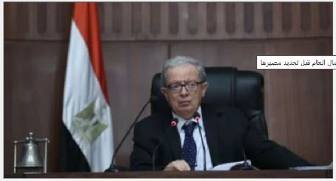 تحديد استثمارات وأصول الشركات القابضة بقطاع الأعمال العام قبل تحديد مصيرها