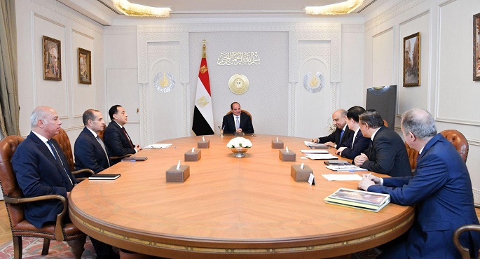الرئيس السيسى يبحث مع رئيس GCL الصينية التعاون فى مجال الطاقة المتجددة وإمكانية توطينها بمصر