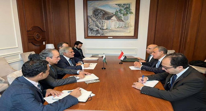 وزيرا الخارجية المصرى والباكستانى يبحثان فى نيويورك مستجدات الشرق الأوسط