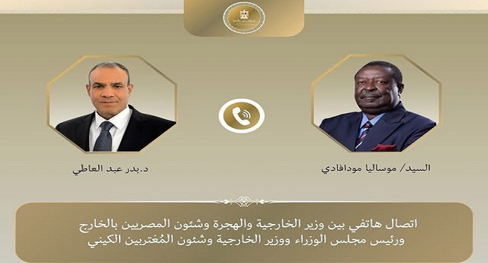 وزير الخارجية يبحث مع نظيره الكينى تعزيز التعاون بين البلدين