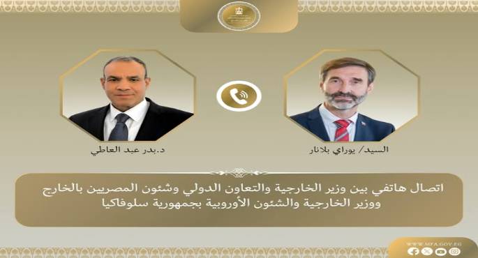 وزير الخارجية: الخيارات العسكرية لن تؤدى إلا الى مزيد من العنف وسفك الدماء