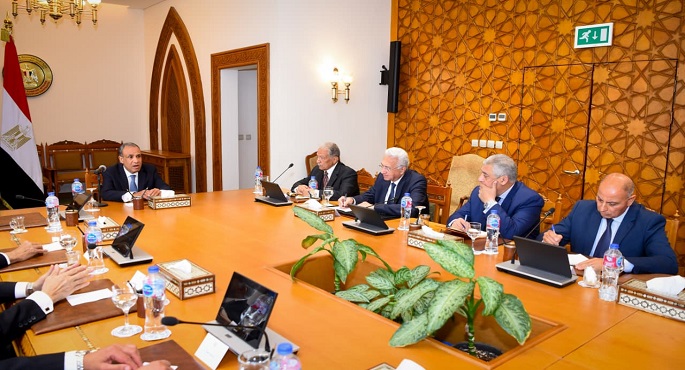 وزير الخارجية يبحث محددات الموقف المصرى من التطورات الإقليمية