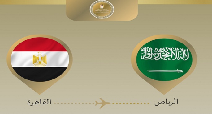 وزير الخارجية يتوجه إلى الرياض للمشاركة في الاجتماع الوزارى التشاورى للدول العربية والإسلامية
