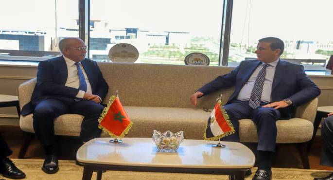 وزير الزراعة: التعاون مع المغرب يمثل ركيزة أساسية فى استراتيجية مصر لتوسيع الشراكات العربية والإفريقية