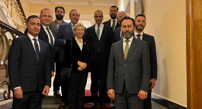 وزير الخارجية: مصر تسخر كافة جهودها الدبلوماسية لوقف التصعيد بالمنطقة
