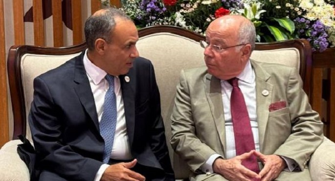 وزير الخارجية يؤكد لنظيره البرازيلى اهتمام مصر بتطوير العلاقات الثنائية