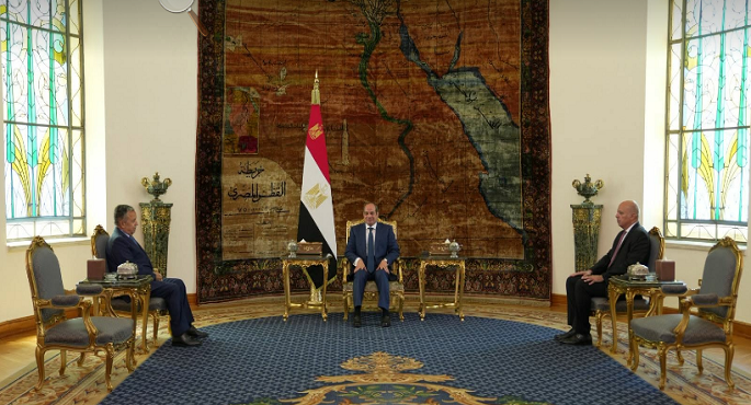 الرئيس السيسى يؤكد دعم مصر لترشيح نبيل فهمى لمنصب الأمين العام لجامعة الدول العربية